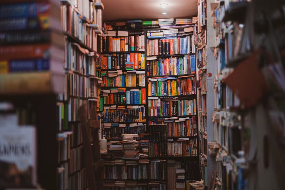 Una biblioteca fitta di libri: il blog come sapere da consultare.